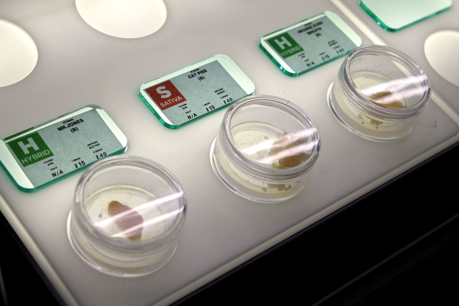 Display cases along the counter