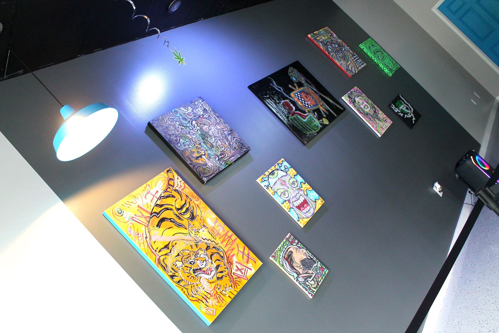 Front counter at Essential Exotics